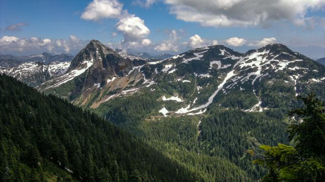 Mt. Steele Trail