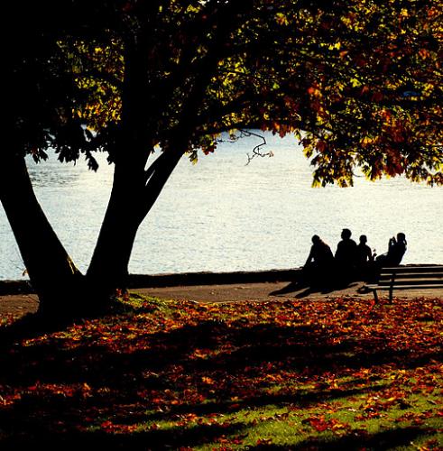 Stanley Park Trail