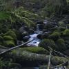 Capilano River Regional Park