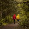 Upper Shinglebolt Trail