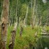 Killarney Lake