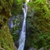 Goldstream falls