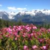 Elfin Lakes