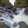 Widgeon Falls Trail