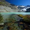 Wedge lake