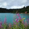 Garibaldi Lake Trail