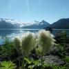 Garibaldi Lake