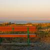 Boundary Bay Regional Park