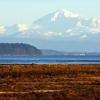 Boundary Bay Regional Park