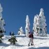 Hollyburn Peak trail