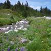 Rainbow Lake trail