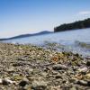 False Narrows Shoreline Walk