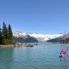 Garibaldi Lake Trail