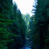 Capilano Canyon