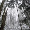 Vedder Mountain Trail