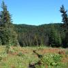 West Bowl Trail in Sun Peaks