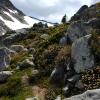 Joffre Lake