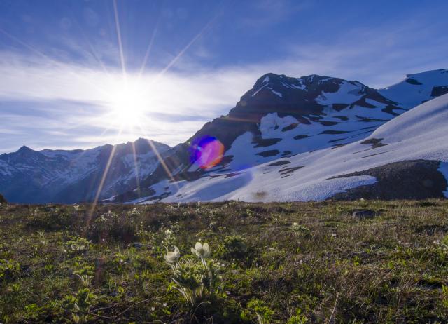 Singing Pass Trail