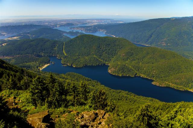 Lindsay Lake Loop