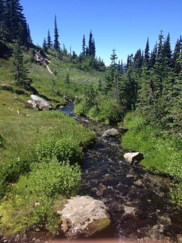 Panorama Ridge Trail