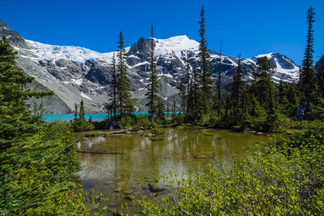 Joffre Lake Provincial Park