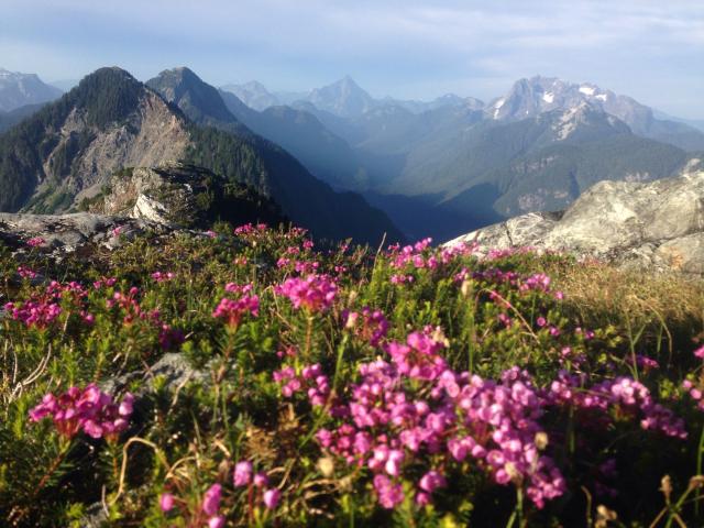 Golden Ears