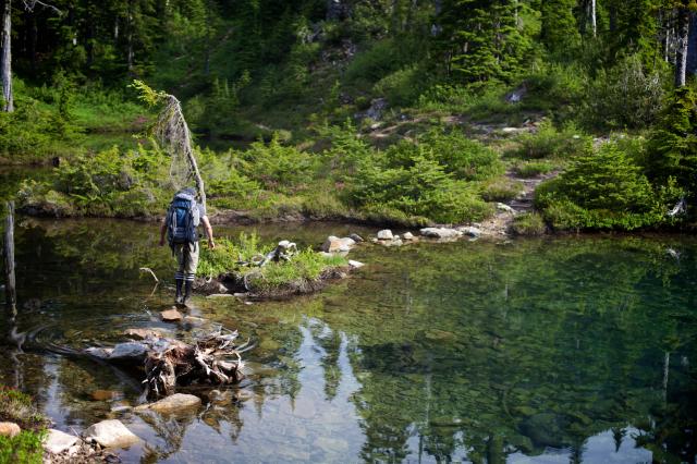 Howe Sound Crest Trail