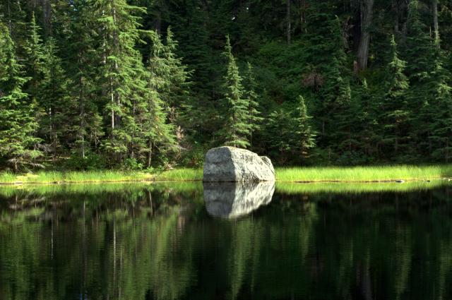 Goldie Lake / Flower Lake Loop