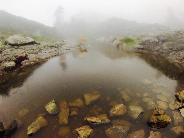 Mt Seymour