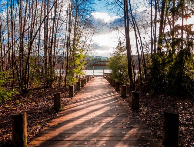 Shoreline Trail