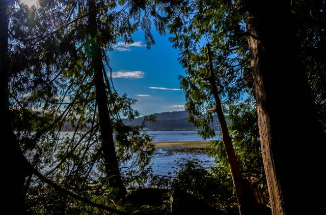 Shoreline Trail