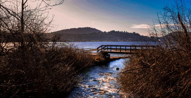 Shoreline Trail