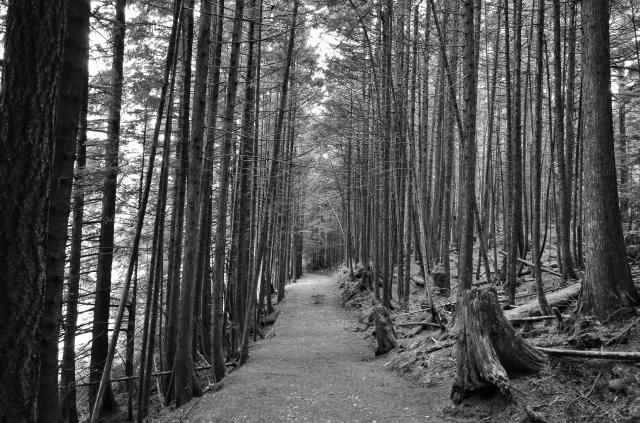 Rolley Lake Provincial Park