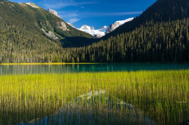 Joffre Lakes Park