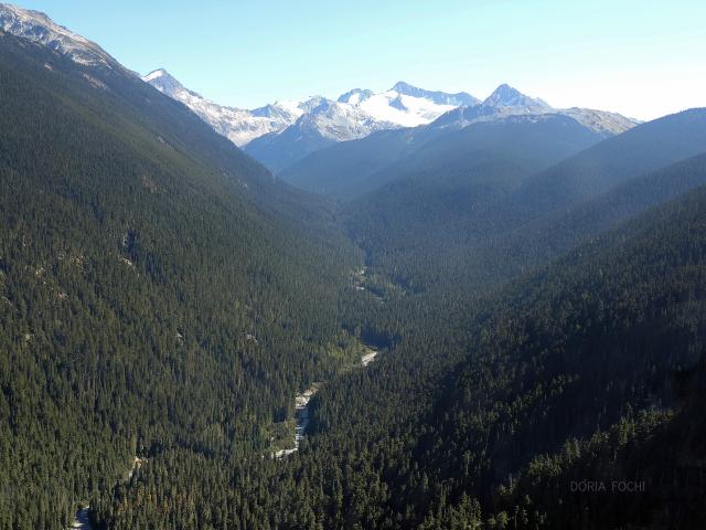 Whistler Gondola