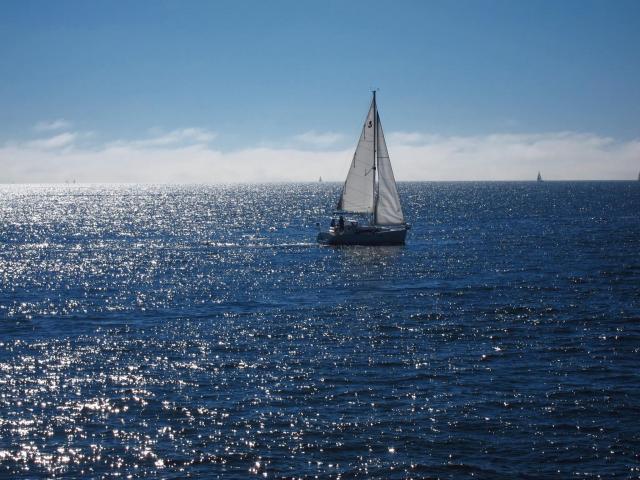 Lighthouse Park