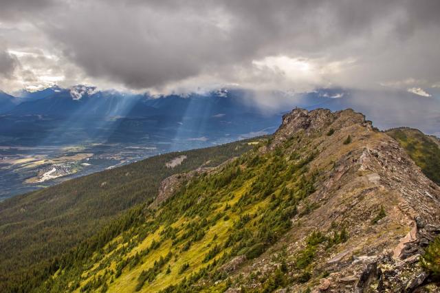 Mt McKirdy Trail