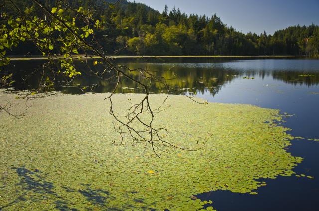 Killarney Lake