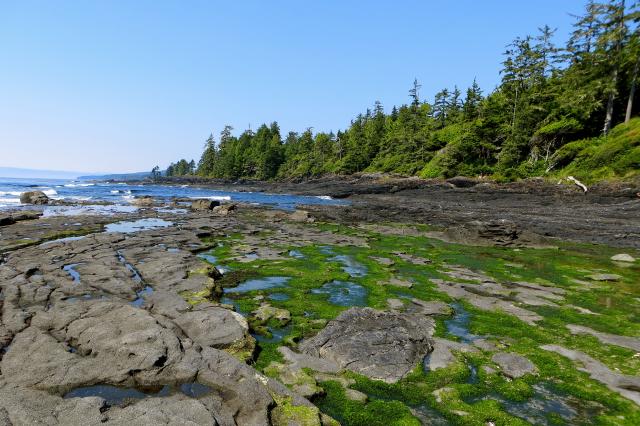 Juan De Fuca Marine Trail