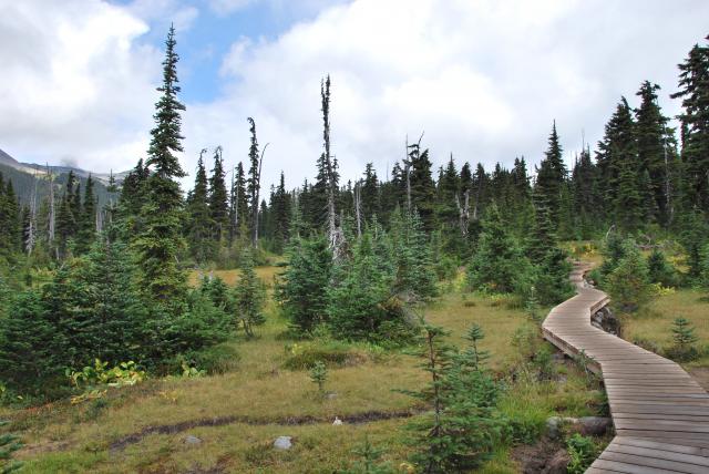 Garibaldi Lake Trail