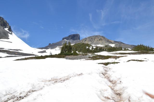 Black Tusk Trail