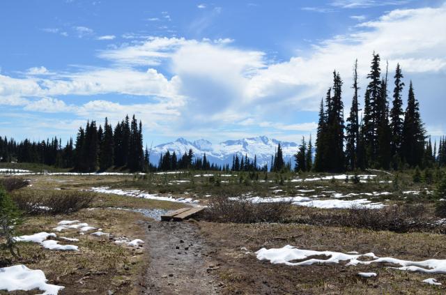 Black Tusk Trail