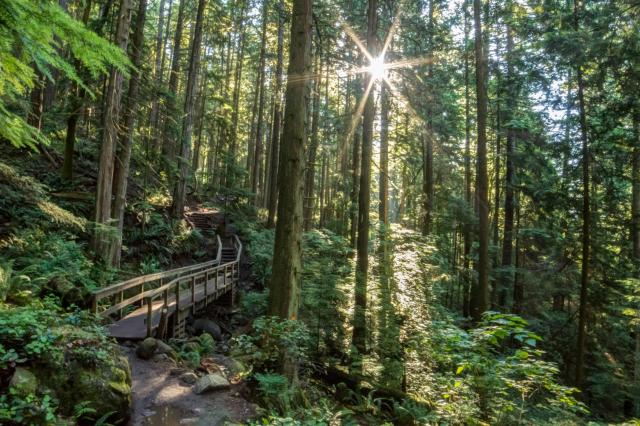 Quarry Rock Trail Photo | Hiking Photo Contest | Vancouver Trails