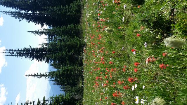 Manning Park