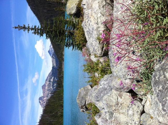 Joffre Upper Lake Hike