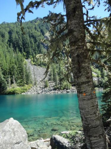 Lindeman Lake