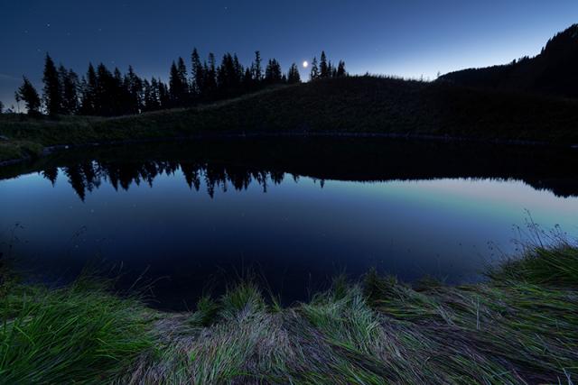 Mt. Cheam Trail