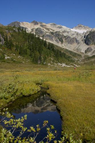 Brandywine Meadows