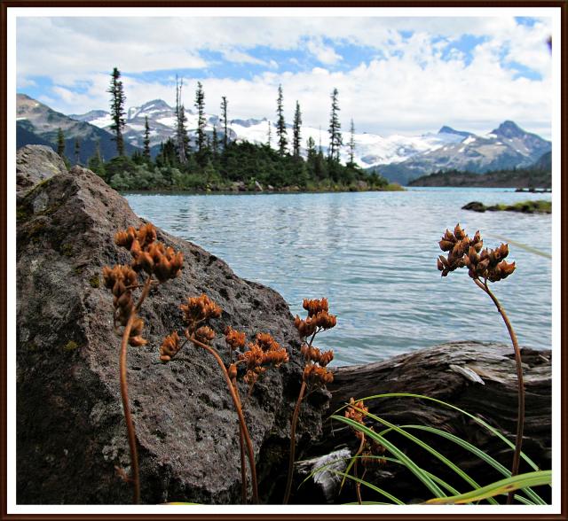 Garibaldi Lake Trail