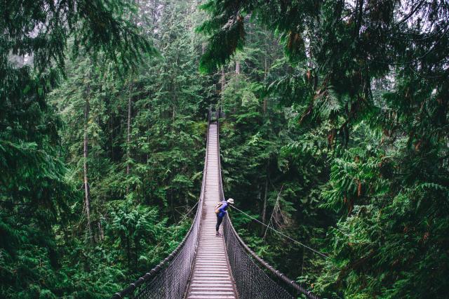 Lynn Canyon Suspension Bridge